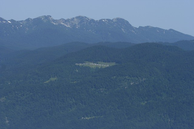 Orožnova koča, Črna prst, 20.6.2006 - foto