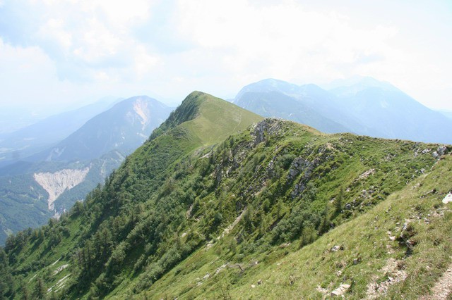 Rožca, Golica, 9.7.2006 - foto povečava