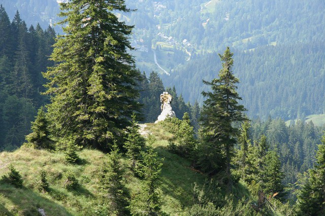 Rožca, Golica, 9.7.2006 - foto