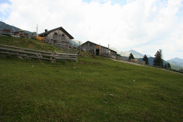 Kofce, Kladivo, Pungartska gora, 12.7.2006 - foto