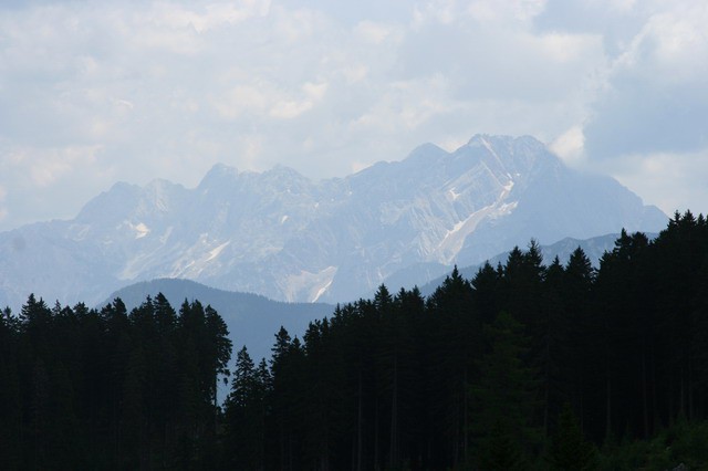 Kofce, Kladivo, Pungartska gora, 12.7.2006 - foto