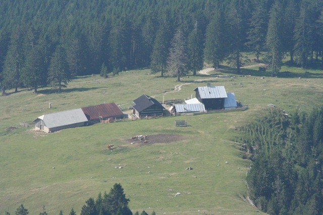 Kofce, Kladivo, Pungartska gora, 12.7.2006 - foto