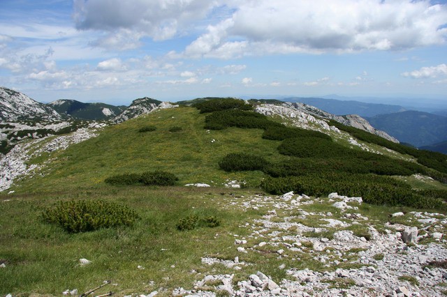 Korošica, Ojstrica, Lučki Dedec, 16.7.2006 - foto povečava