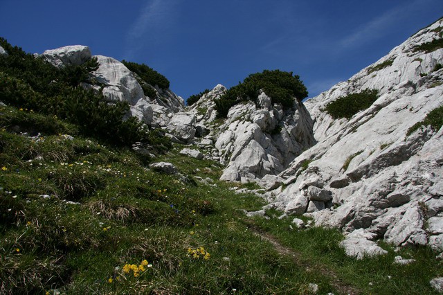 Korošica, Ojstrica, Lučki Dedec, 16.7.2006 - foto