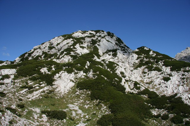 Korošica, Ojstrica, Lučki Dedec, 16.7.2006 - foto povečava