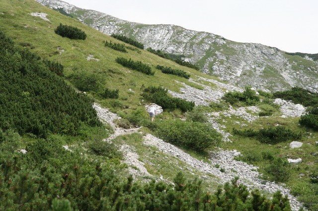 Koča na planini Razor, Vogel, 29.7.2006 - foto
