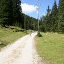 Gobe, Pokljuka, 2.9.2006
