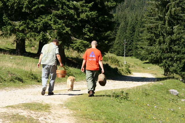 Gobe, Pokljuka, 2.9.2006 - foto povečava