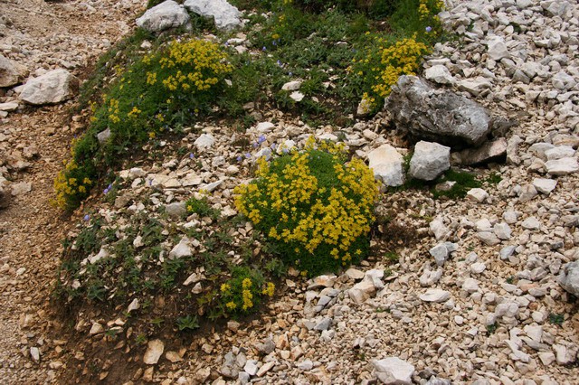 Češka koča, Jezerska Kočna, 15.8.2006 - foto povečava