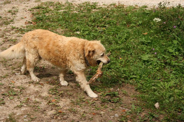 Dobrča, 9.9.2006 - foto