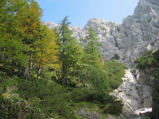 1. spominski pohod za Aleša, 23.9.2006 - foto