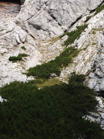 1. spominski pohod za Aleša, 23.9.2006 - foto