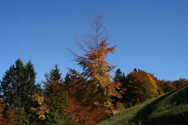 Sv. Jošt, 22.10.2006 - foto