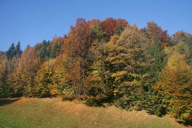 Sv. Jošt, 22.10.2006 - foto povečava