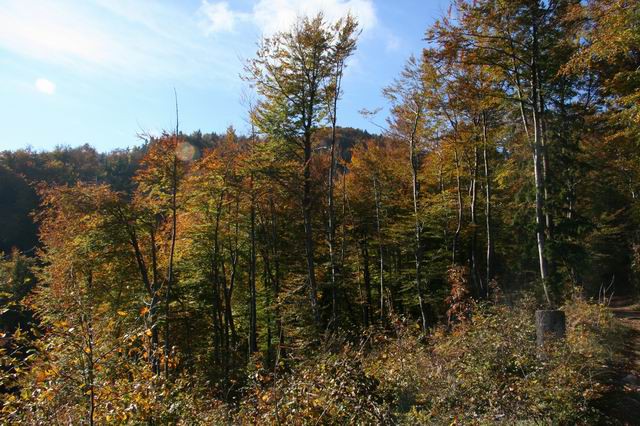 Sv. Jošt, 22.10.2006 - foto povečava