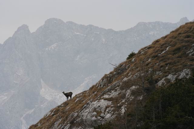 Prisank (vrh ni bil osvojen), 11.11.2006 - foto povečava