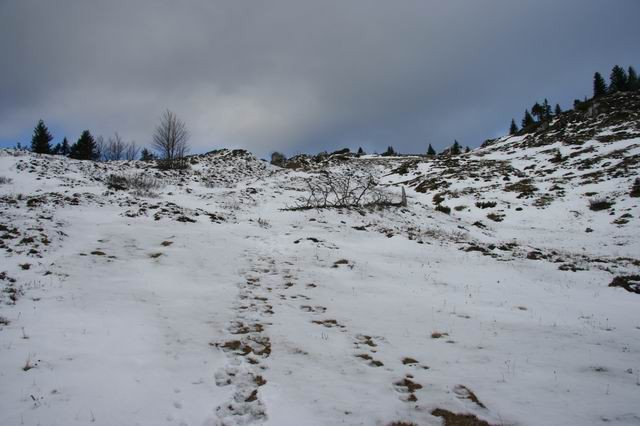 Velika planina, 24.11.2006 - foto