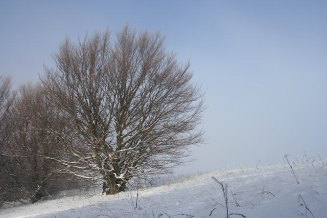 Slivnica, 24.12.2006 - foto