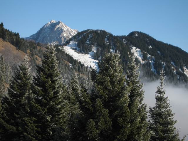 Tolsti vrh, Kriška gora, 26.12.2006 - foto