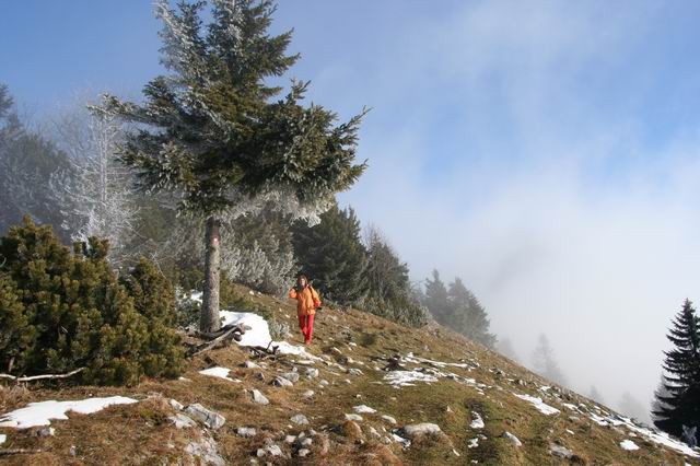 Tolsti vrh, Kriška gora, 26.12.2006 - foto