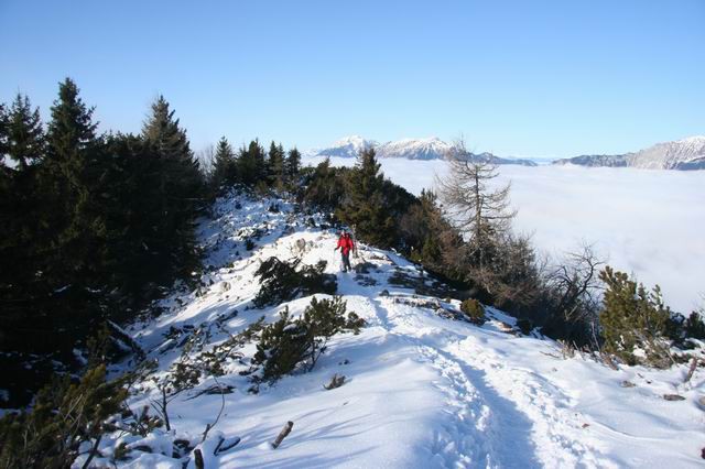 Tolsti vrh, Kriška gora, 26.12.2006 - foto povečava