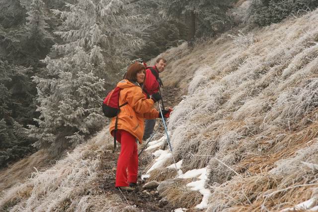 Tolsti vrh, Kriška gora, 26.12.2006 - foto povečava