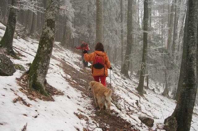 Tolsti vrh, Kriška gora, 26.12.2006 - foto povečava