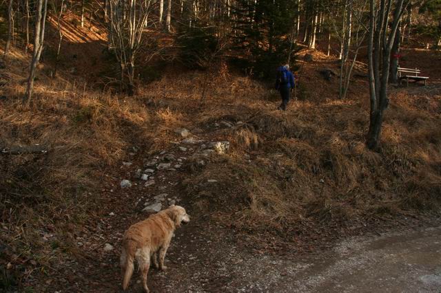 Stol, 14.1.2007 - foto povečava