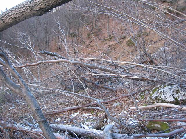 Grintovec, 6.1.2007 (Robi) - foto povečava