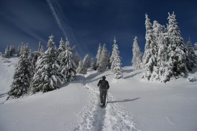 Uršlja gora, 28.1.2007 - foto