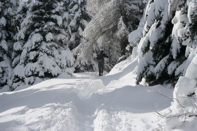 Uršlja gora, 28.1.2007 - foto povečava
