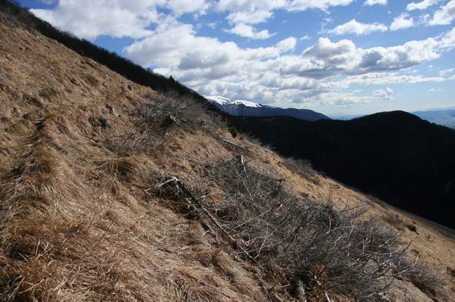 Kališče, Hudičev boršt, 4.3.2007 - foto