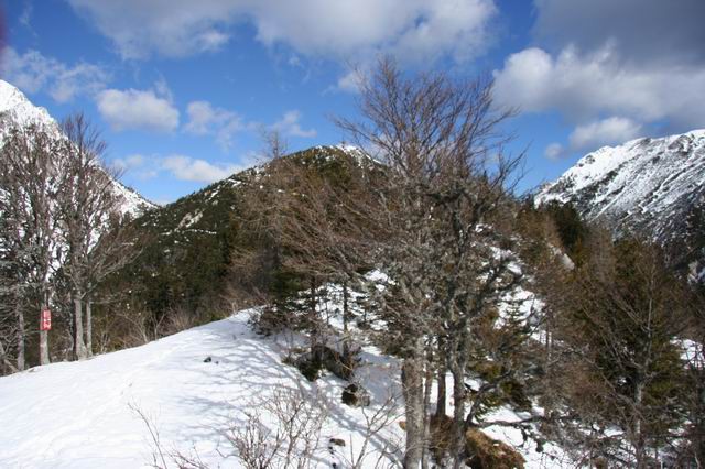 Kališče, Hudičev boršt, 4.3.2007 - foto povečava