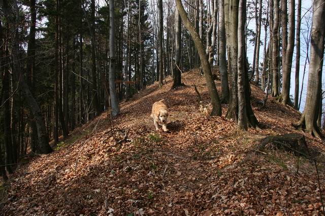 Križna gora, Sv. Gabriel na Planici, 18.3.200 - foto