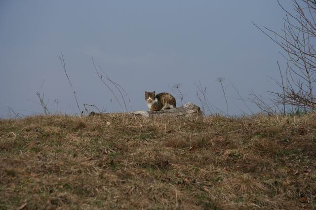 Križna gora, Sv. Gabriel na Planici, 18.3.200 - foto