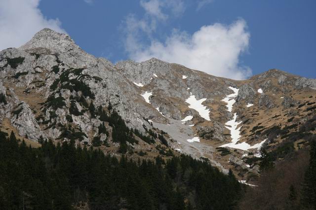 Kališče, Bašeljski vrh, Storžič, Velika Polja - foto