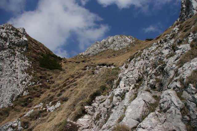 Kališče, Bašeljski vrh, Storžič, Velika Polja - foto povečava