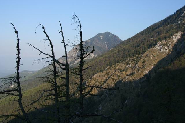 Kališče, Bašeljski vrh, Storžič, Velika Polja - foto