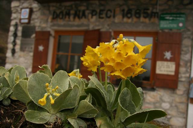 Dom na Peci, Peca, 30.4.2007 - foto povečava