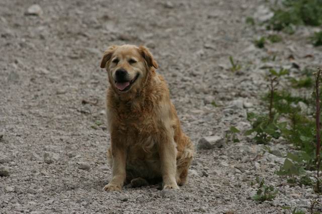 Begunjščica in akcija GRS, 13.5.2007 - foto