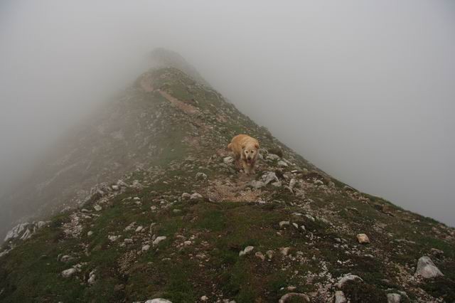 Begunjščica in akcija GRS, 13.5.2007 - foto povečava