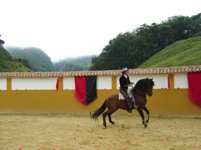 Te voy a ensenar a querer - foto