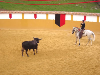 Te voy a ensenar a querer - foto povečava