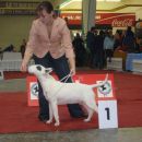 cacib zagreb