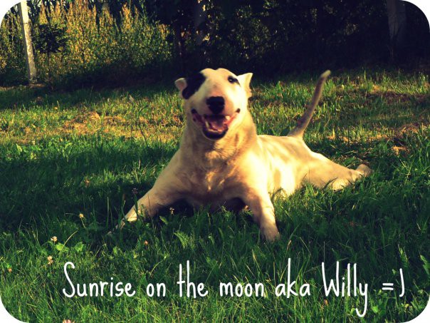Sunrise on the moon ( Willy ) - foto