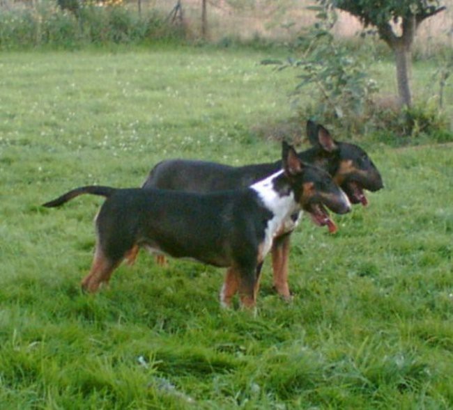 Stinky&Abby - foto povečava