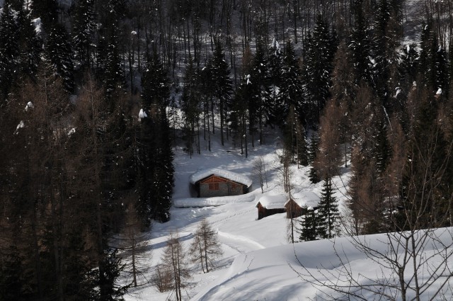 FORNI 09/2 nature - foto