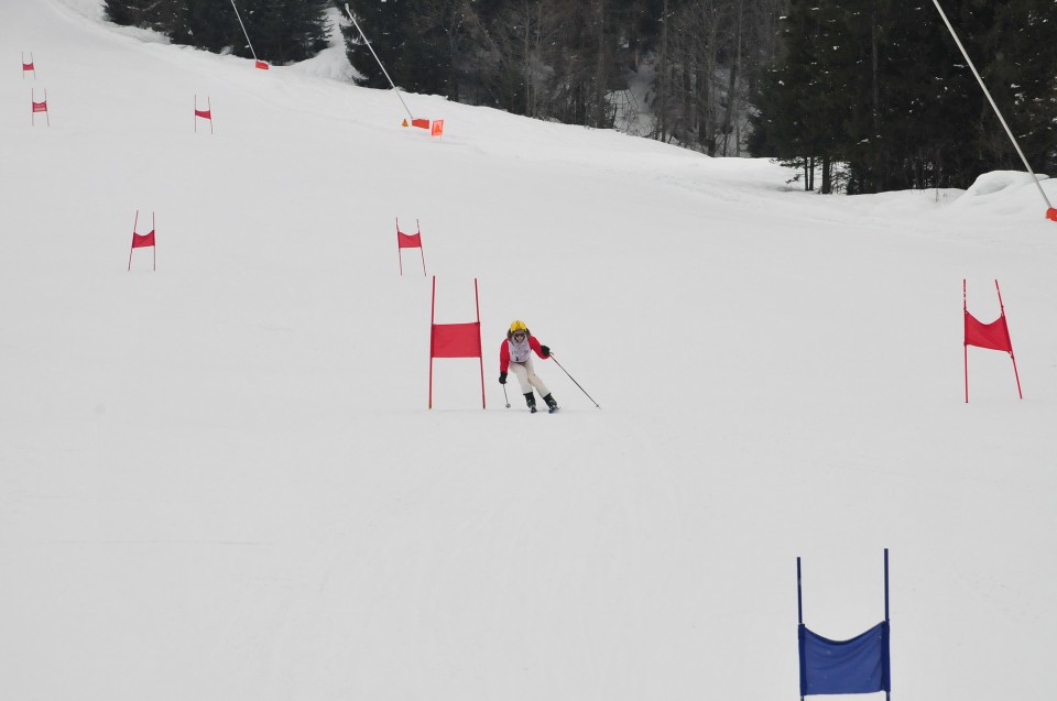 FORNI 09/2 TEKMA - foto povečava