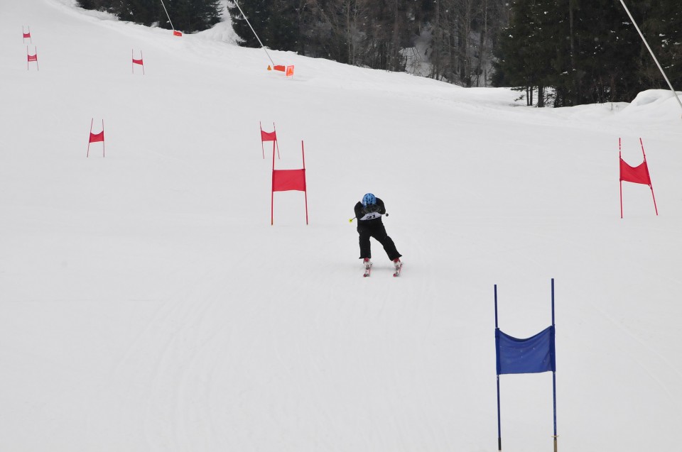 FORNI 09/2 TEKMA - foto povečava