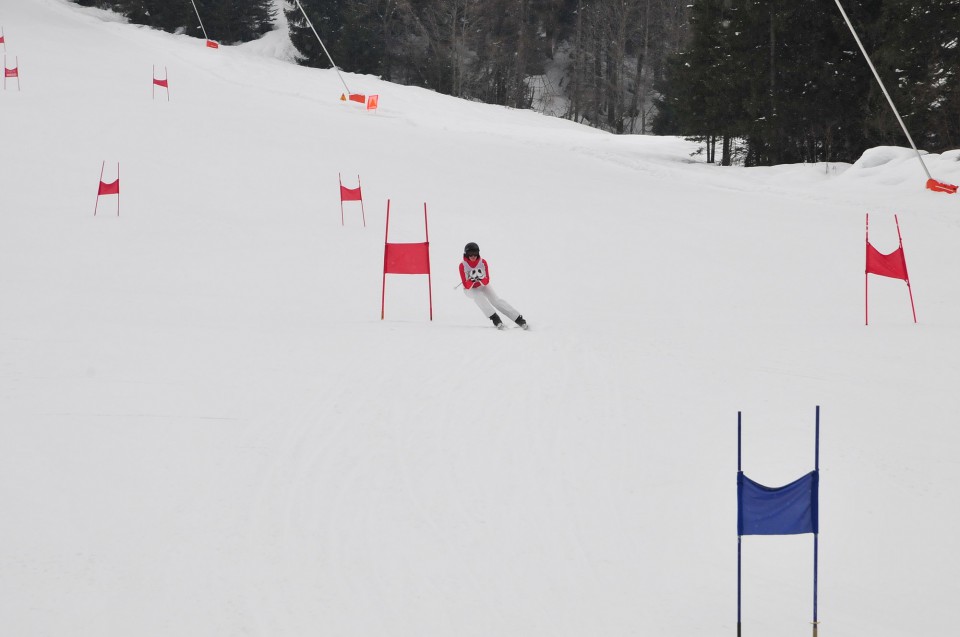 FORNI 09/2 TEKMA - foto povečava